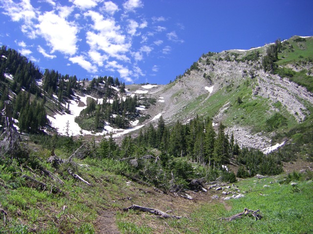 Alexander Basin