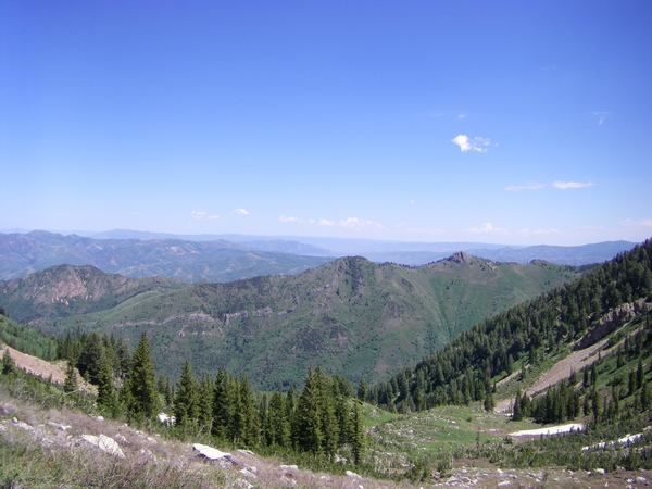 Alexander Basin