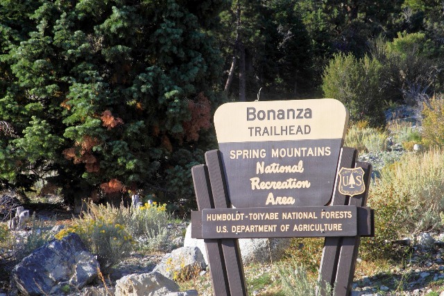 Bonanza Trail