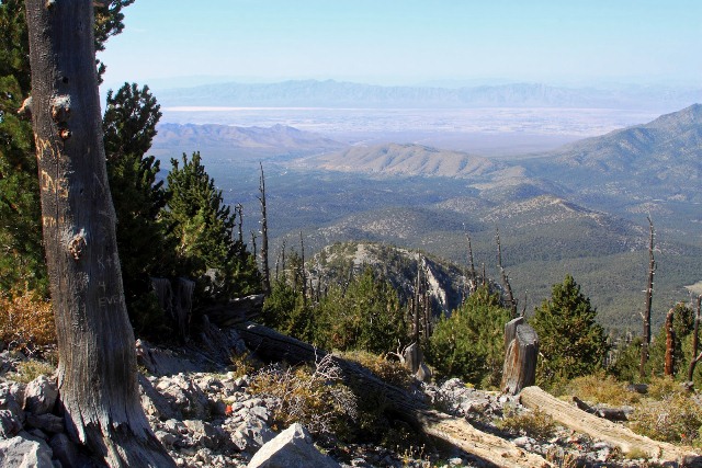 Bonanza Trail