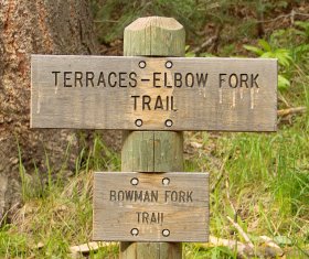 Bowman Fork Trail