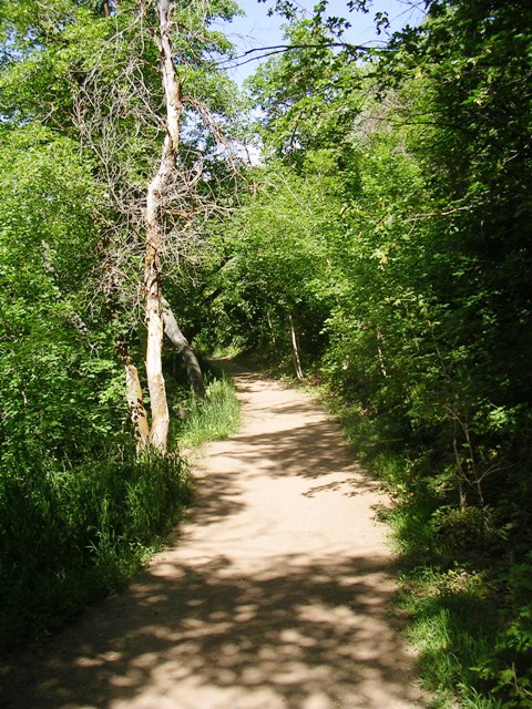 Burch Hollow Trail