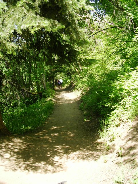 Burch Hollow Trail