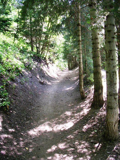 Burch Hollow Trail