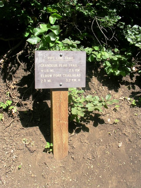 Burch Hollow Trail