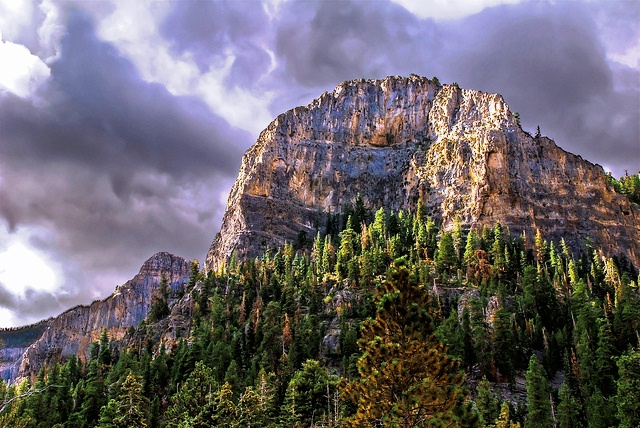 Cathedral Rock