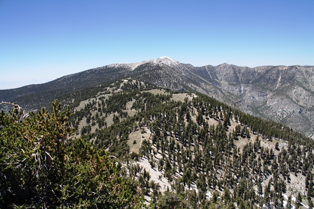 Charleston Peak via South Loop Trail