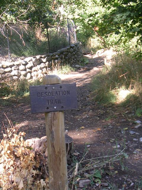 Desolation Trail