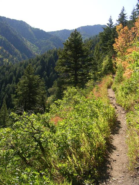 Desolation Trail