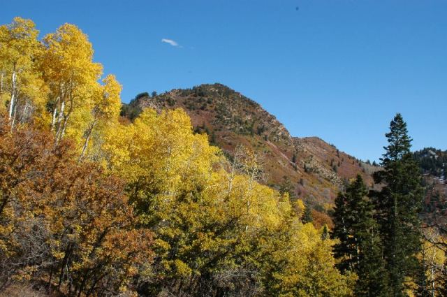Elbow Fork to Lambs Canyon