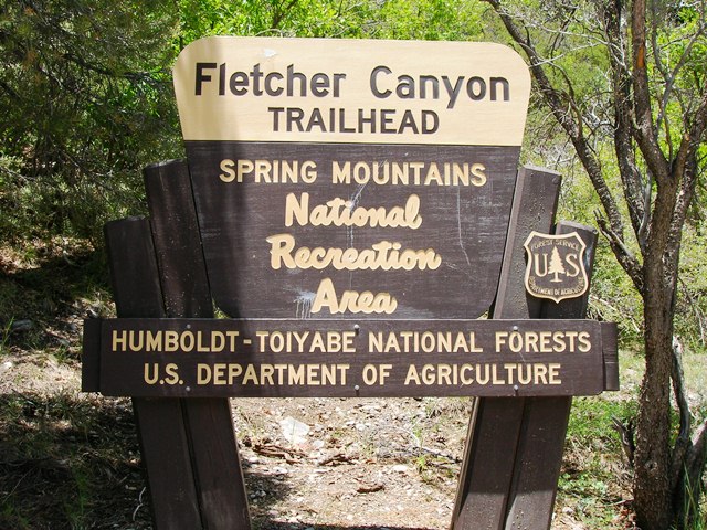 Fletcher Canyon