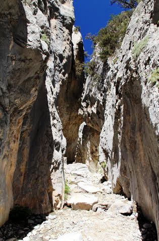Fletcher Canyon