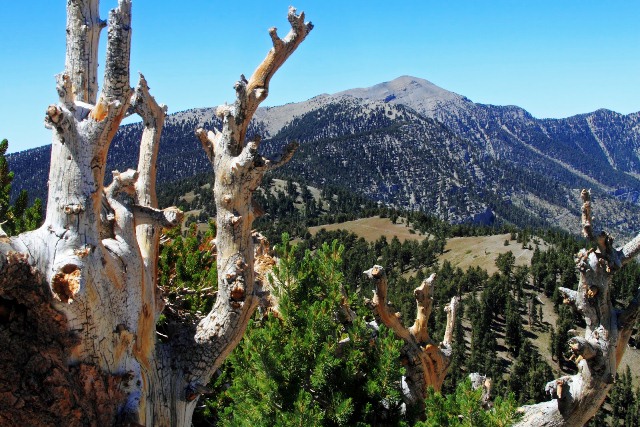 Griffith Peak