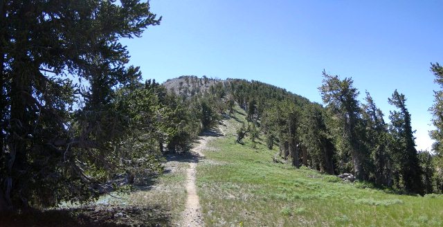 Griffith Peak