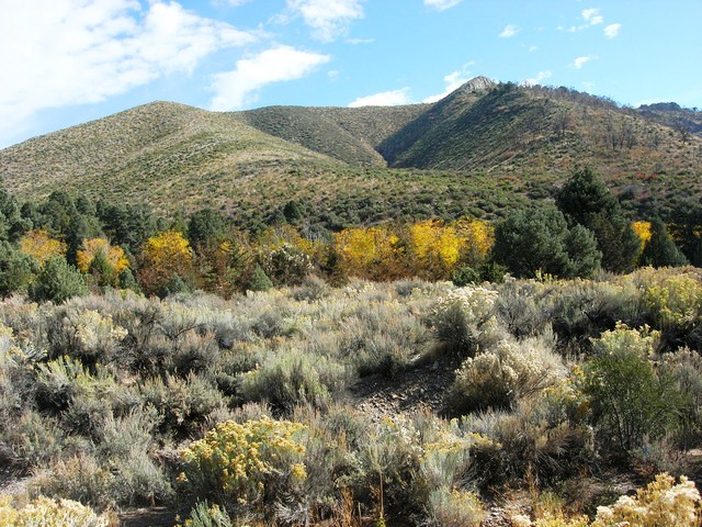 Lovell Canyon