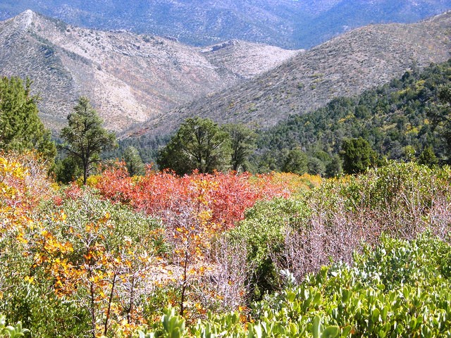 Lovell Canyon
