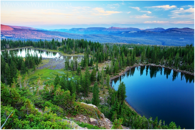 Naturalist Basin