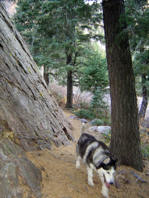 Neffs Canyon