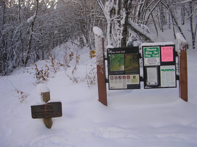 Porter Fork Road