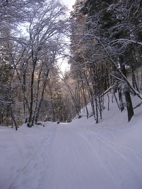 Porter Fork Road