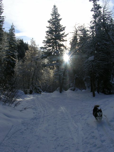 Porter Fork Road
