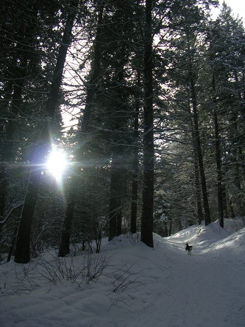 Porter Fork Road