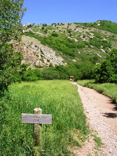 Rattlesnake Gulch