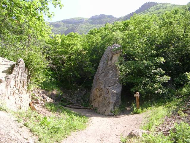 Rattlesnake Gulch