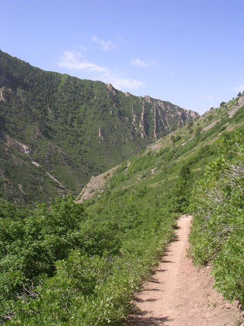 Rattlesnake Gulch
