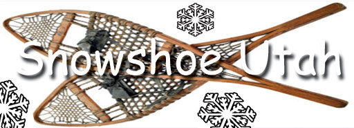 Snowshoe Trails