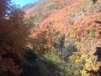 Thaynes Canyon Trail